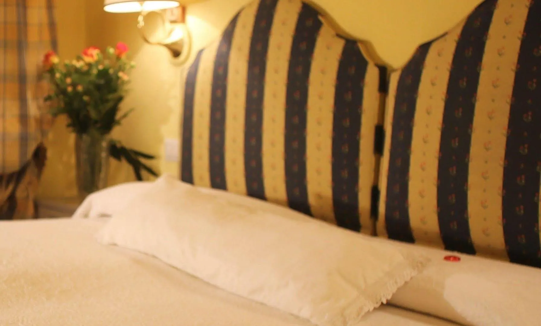 Guest house B&B Le Aquile Siena